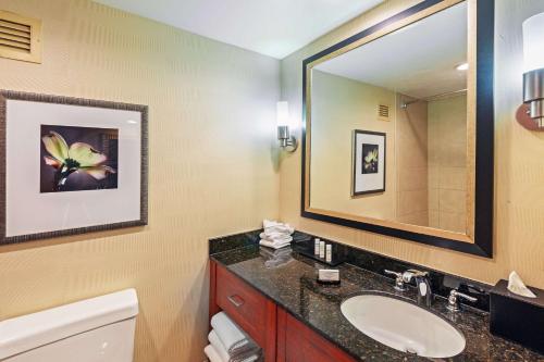 a bathroom with a sink and a mirror at Embassy Suites by Hilton Greensboro Airport in Greensboro