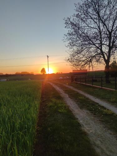 a dirt road in a field with the sunset in the background at Apartament za lasem in Kaliska Kościerskie
