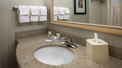 lavabo con dispensador de jabón y espejo en Hilton Garden Inn Macon/Mercer University, en Macon