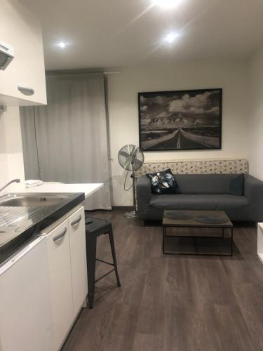 Il dispose d'une cuisine et d'un salon avec un canapé et une table. dans l'établissement Grand studio, à Meythet