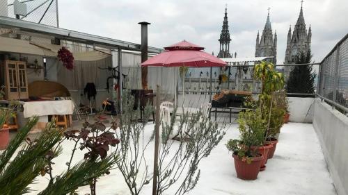 Tin House Quito في كيتو: فناء مع مظلة وردية ونباتات الفخار