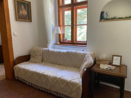 salon z kanapą i oknem w obiekcie Apartmány Stará Prádelna w mieście Nový Dvŭr