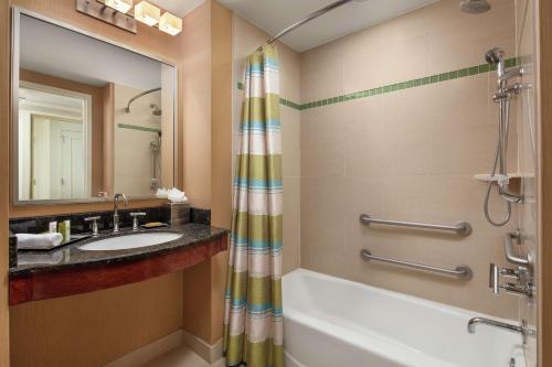 uma casa de banho com uma banheira, um lavatório e um espelho. em Hilton Orlando em Orlando
