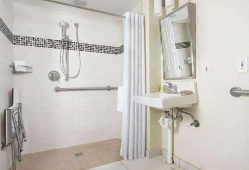 uma casa de banho com um lavatório e um chuveiro em Hilton Grand Vacations Club SeaWorld Orlando em Orlando