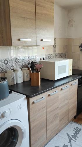 une cuisine avec un lave-linge et un micro-ondes dans l'établissement Villa en corse, à Casabianca