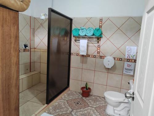 a bathroom with a shower and a toilet in it at Gran Hotel Desamparados in Desamparados