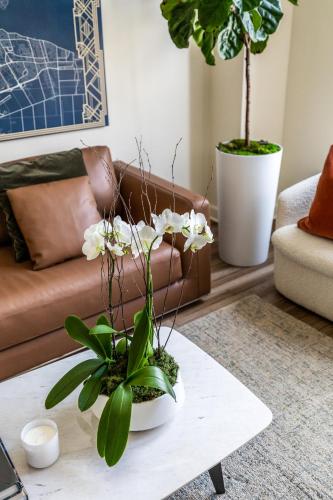 a living room with a couch and a table with plants at The Lumber Baron's Mansion: 2 King Suites, 2.5BA + Gym in Detroit