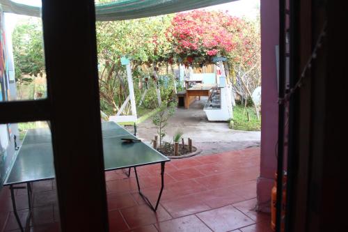 Κήπος έξω από το Hostel Posada de Gallo