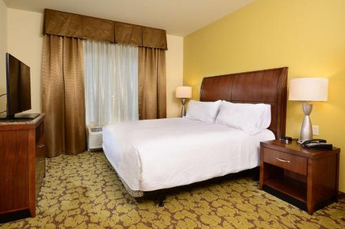 a hotel room with a bed and a television at Hilton Garden Inn Greensboro Airport in Greensboro