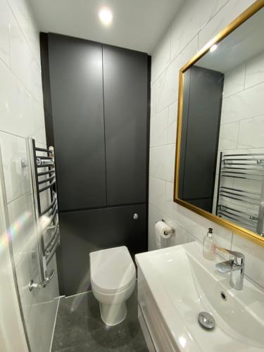 La salle de bains est pourvue de toilettes, d'un lavabo et d'un miroir. dans l'établissement Stylish 1-bed studio, à Londres