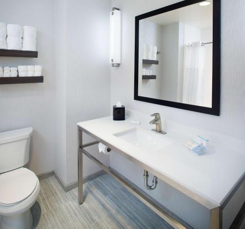 a bathroom with a sink and a toilet and a mirror at Hilton Garden Inn Dallas/Arlington South in Arlington