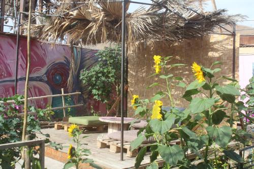 Κήπος έξω από το Hostel Posada de Gallo