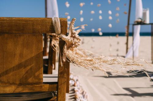 a wooden bench with a bird made out of roots at Hilton Cabo Verde Sal Resort in Santa Maria