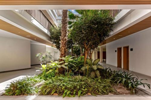 a lobby with trees and plants in a building at Hilton Cabo Verde Sal Resort in Santa Maria