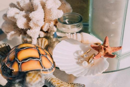 a glass vase with shells and starfish on a table at Hilton Cabo Verde Sal Resort in Santa Maria