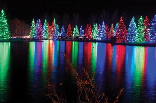 a group of christmas trees reflecting in the water at Private Cozy Secondary Suite, 2 Bedrooms, Separate Entrance in Calgary