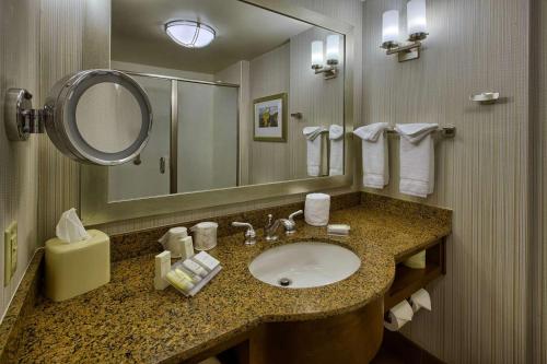 達拉姆的住宿－達勒姆大學醫學中心希爾頓花園酒店，一间带水槽和镜子的浴室