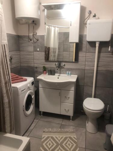 a bathroom with a toilet sink and a washing machine at STUDIO APARTMAN MARINJAK in Belišće