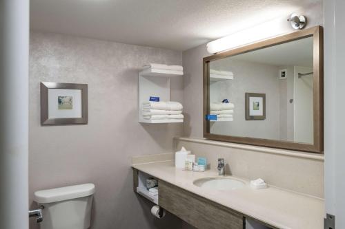 a bathroom with a sink and a mirror and a toilet at Hampton Inn Waco North in Waco