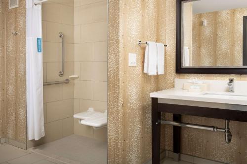 a bathroom with a shower and a sink and a toilet at Hampton Inn & Suites Alpharetta-Windward in Alpharetta