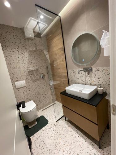 a bathroom with a sink and a toilet and a mirror at Downtown Studio Apartments in Tirana