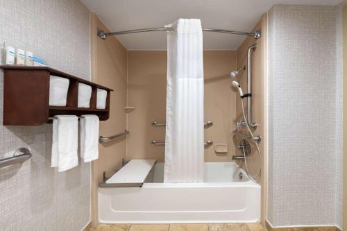 Ένα μπάνιο στο Hampton Inn Denver-International Airport