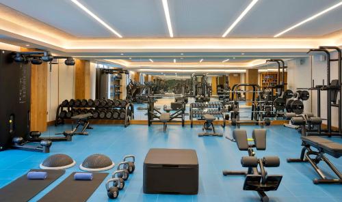 a gym with a lot of weights and equipment at Hilton Abu Dhabi Yas Island in Abu Dhabi