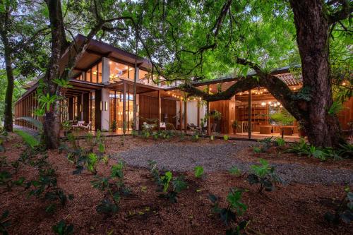 una casa con porte in vetro e un albero di Botanika Osa Peninsula, Curio Collection By Hilton a Puerto Jiménez