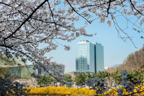 ソンナムにあるDoubleTree By Hilton Seoul Pangyo Residencesの町並み・高層ビル