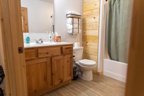a bathroom with a sink and a toilet and a shower at Bluffside Gardens in Decorah