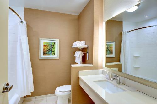a bathroom with a sink and a toilet and a mirror at Fairfield Inn & Suites by Marriott Nashville Downtown-MetroCenter in Nashville