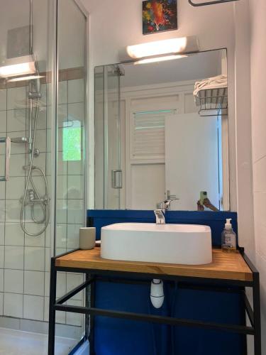 une salle de bain avec un lavabo blanc et un miroir dans l'établissement Studio de l'Anse Mitan, à Les Trois-Îlets