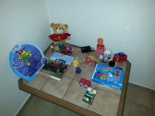 a wooden table with toys and books on it at Guest House Starý Sedloňov in Trutnov
