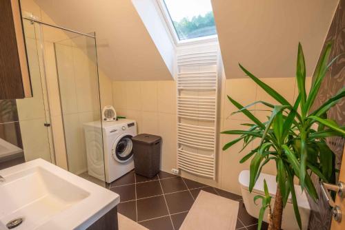 uma casa de banho com um lavatório e uma máquina de lavar roupa em Holiday home in Smarjeske Toplice - Kranjska Krain 45723 em Smarjeske Toplice