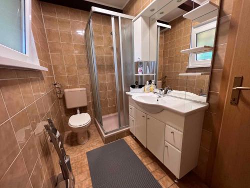 ein Bad mit einem WC, einem Waschbecken und einer Dusche in der Unterkunft Holiday home in Dragatus - Kranjska Krain 45721 in Dragatuš
