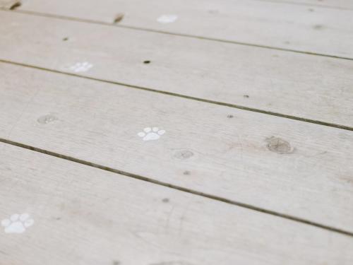 a wooden table with white flowers on it at guesthouse SHIBAFU in Kamakura