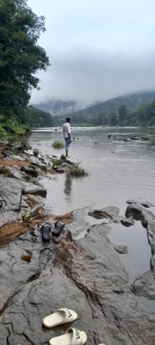 a man standing on the shore of a river with surfboards at SkYVIEW VILLA in Athirappilly