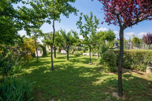 a park with trees and grass and bushes at B&B Maesta' Di Cudino in Arezzo