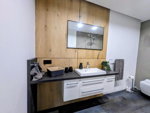 a bathroom with a sink and a mirror at Bergkultur Sauerland in Medebach