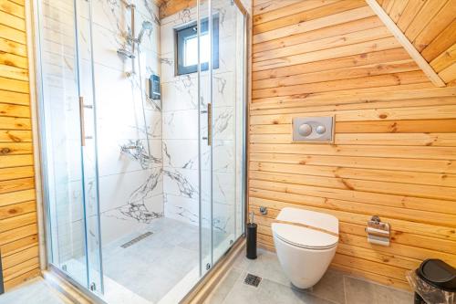 a bathroom with a toilet and a glass shower at Aronia Bungalow in Elmalık