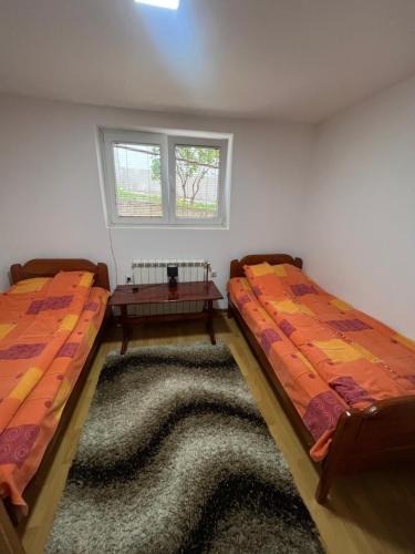 twee bedden in een kamer met een tapijt en een raam bij Apartment Kalpačina in Žabljak