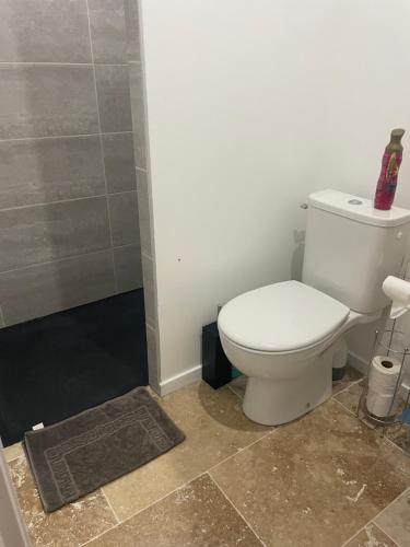a bathroom with a white toilet and a shower at Bienvenue en Beaujolais in Saint-Jean-dʼArdières
