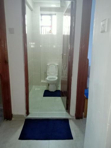 a bathroom with a toilet and two blue rugs at Amalya suites . in Eldoret