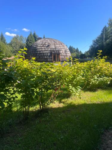 un champ d'herbe avec un bâtiment au toit de chaume en arrière-plan dans l'établissement GRASÓWKA, à Werlas