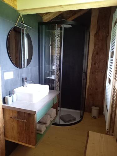 une salle de bain avec un lavabo et une douche dans l'établissement Bienvenue Au Grand Cœur Chaux, à Guyans-Vennes