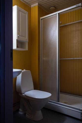 a bathroom with a toilet and a shower and a sink at Houmbgaarden in Røros
