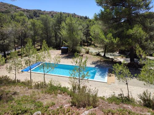 een zwembad in het midden van een veld met bomen bij Écrin de nature sous les pins in Aurons