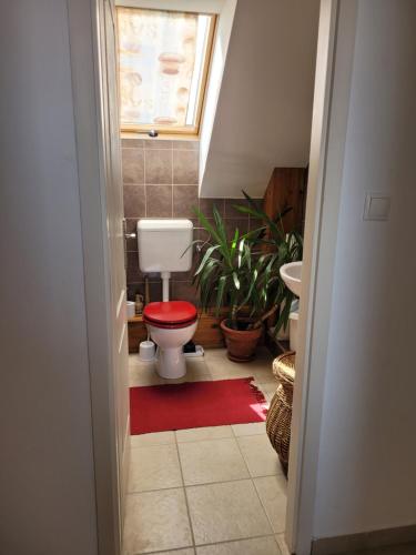 a bathroom with a toilet and a red rug at Tótvár lovarda szálláshely in Kővágótőttős