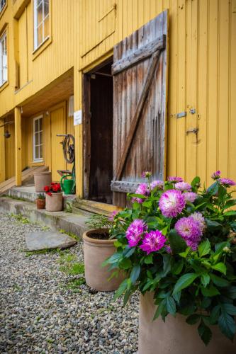 a yellow building with pots of flowers in front of a door at Houmbgaarden in Røros