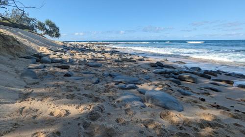 a group of rocks on a beach near the water at Moffat Beach Motel Caloundra in Caloundra